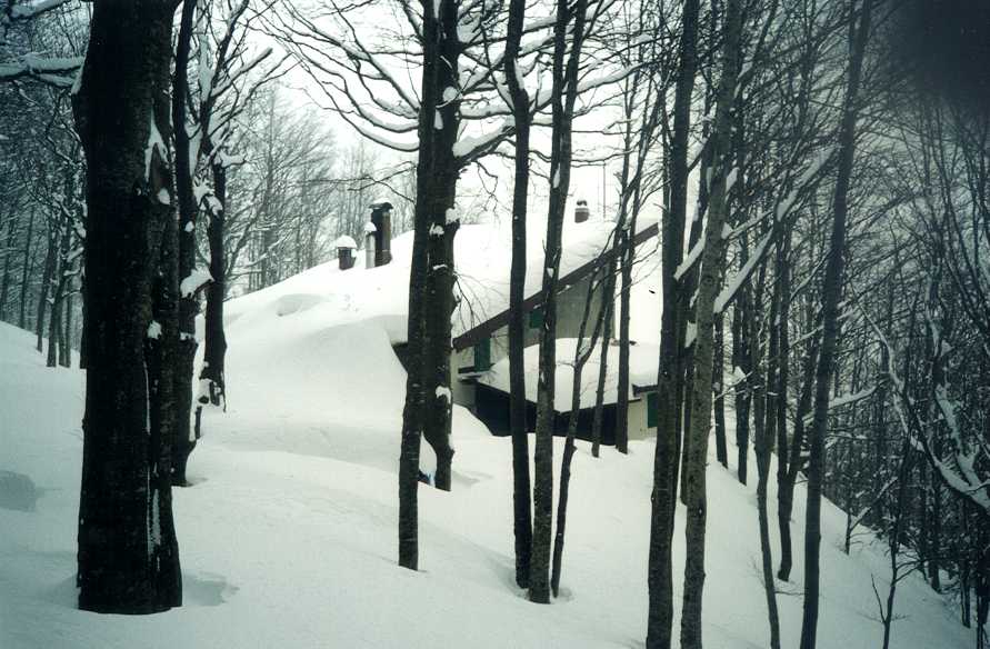 Originali/rifugioarrivo.jpg